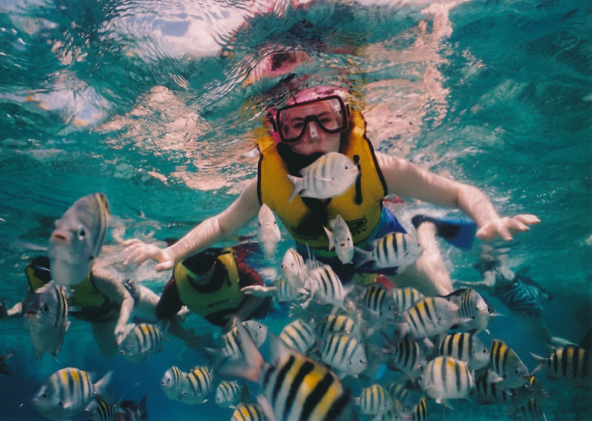 Snorkeling and Scuba diving tours from Palma Palma Blog