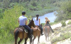 Thumbnail for Horseback Riding Tour in Mallorca