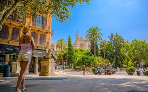 Thumbnail for Explore Exciting Places Near Palma