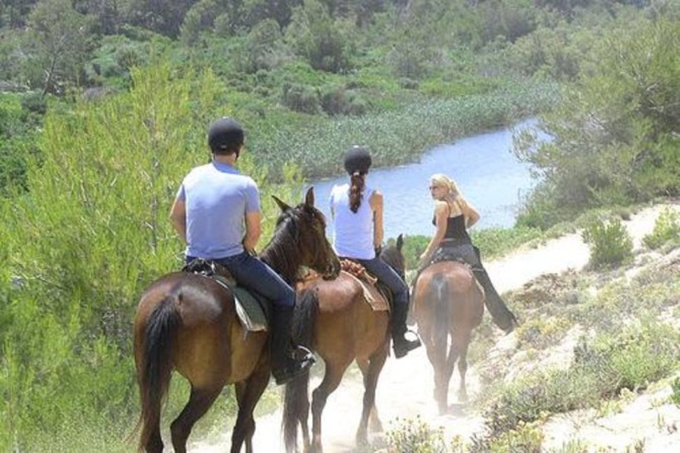 Horseback Riding