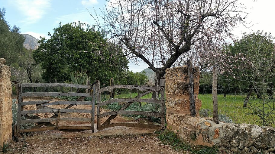 Mallorca