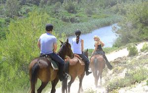 Thumbnail for Horseback Riding Tour in Mallorca