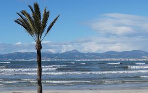 Thumbnail for Climate in Palma de Mallorca