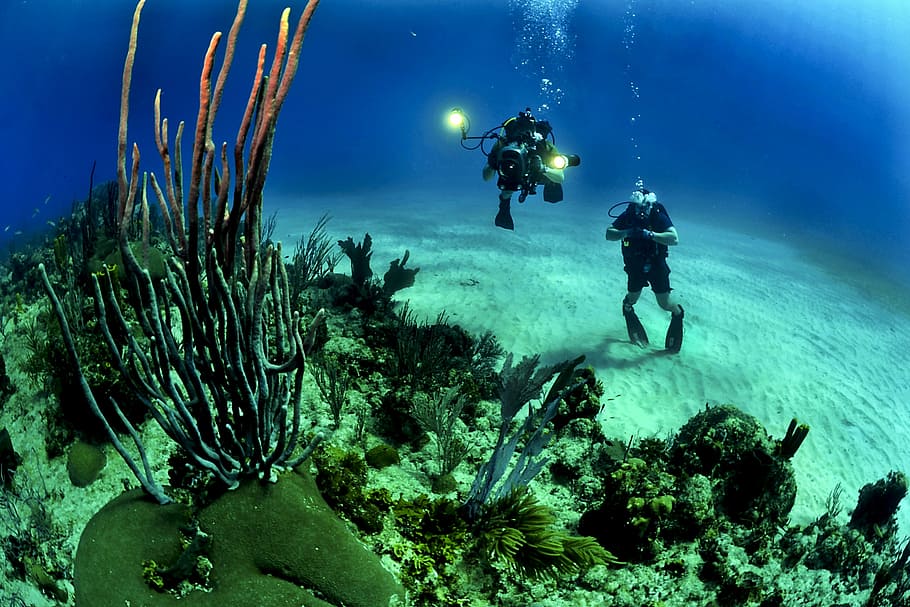 Snorkeling and Scuba diving tours from Palma Palma Blog