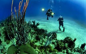 Thumbnail for Snorkeling and Scuba diving tours from Palma