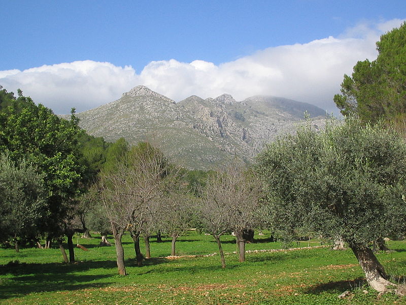 Serra de Tramuntana