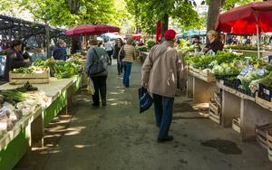 Thumbnail for Markets in Palma de Mallorca