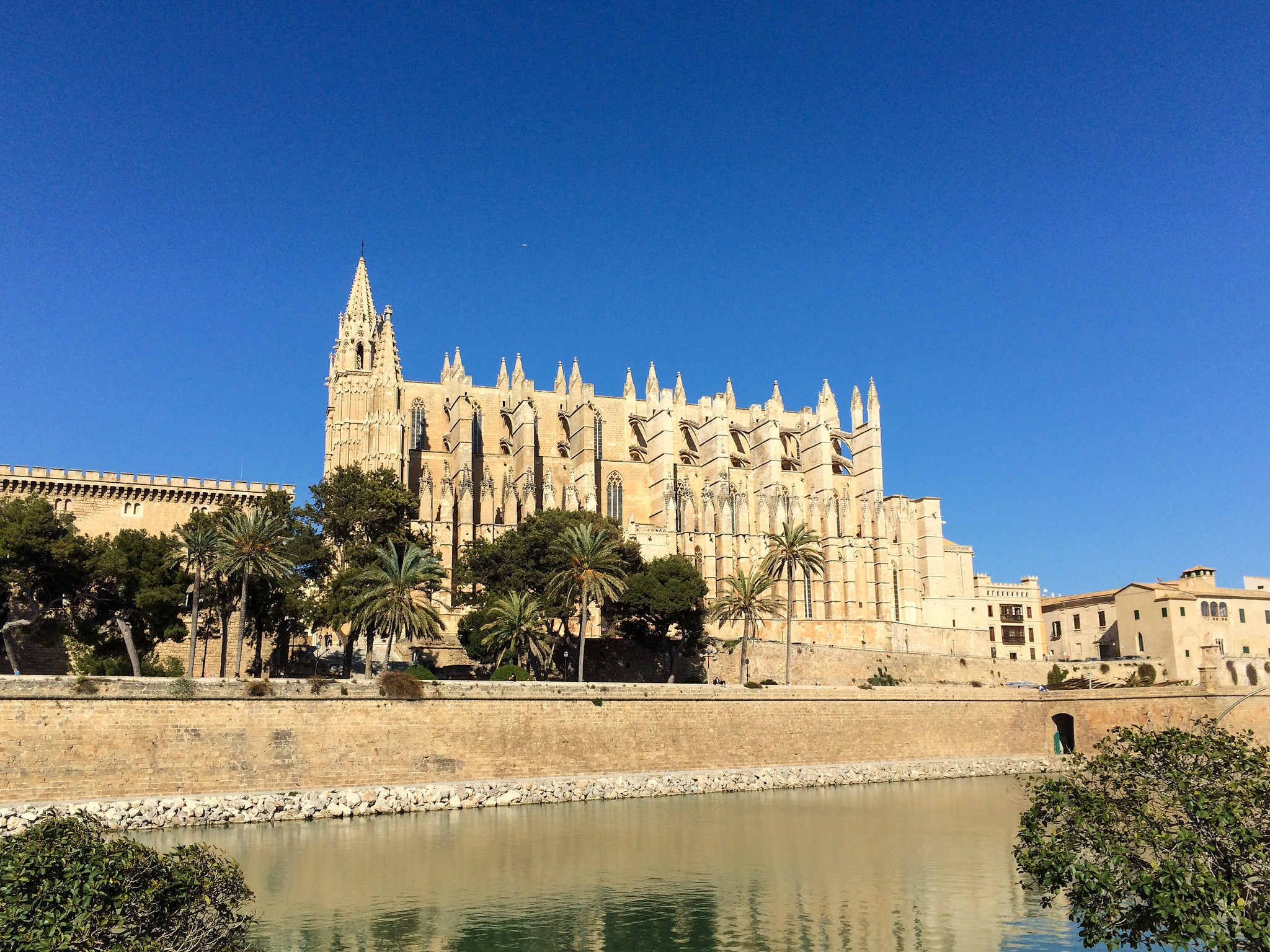 Cathedral, Palma