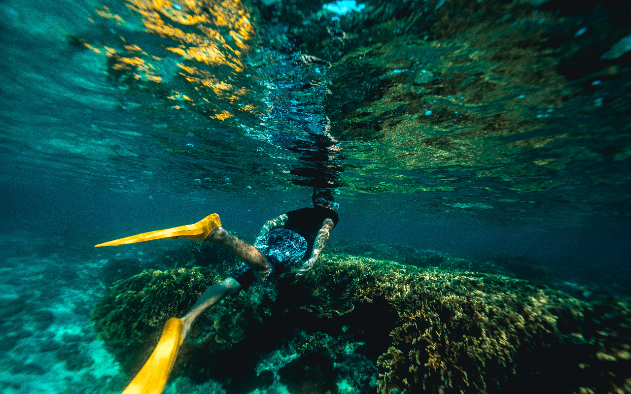 Snorkelling